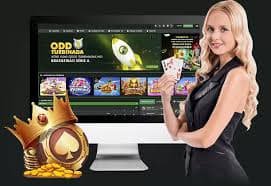 দায়িত্বশীল গেমিং ও ভিআইপি সদস্যদের জন্য সচেতনতামূলক নির্দেশিকা